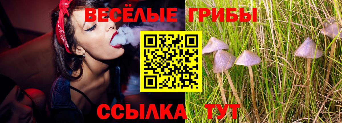 Галлюциногенные грибы MAGIC MUSHROOMS Кизляр